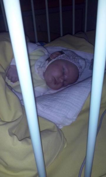 Bild zu 