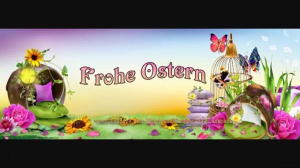 Bild zu 