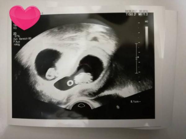 Bild zu Glücksgefühle <3 - Forum für Januar - Mamis