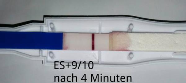 Bild zu Seht ihr was? - Forum für Januar - Mamis