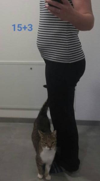 Bild zu Dickbauch-Dienstag :-) - Forum für Januar - Mamis