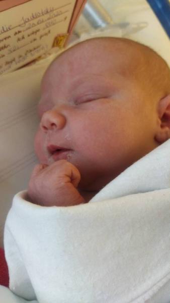 Bild zu Wir dürfen kuscheln ❤️ - Forum für Januar - Mamis