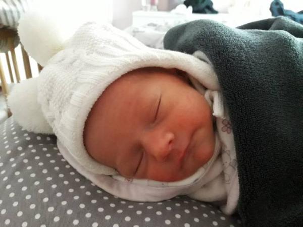 Bild zu Unsere zarte Rosa hat es auch geschafft! - Forum für Januar - Mamis