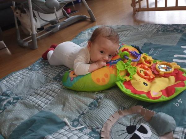 Bild zu Alles wird angeleckt - Forum für Januar - Mamis