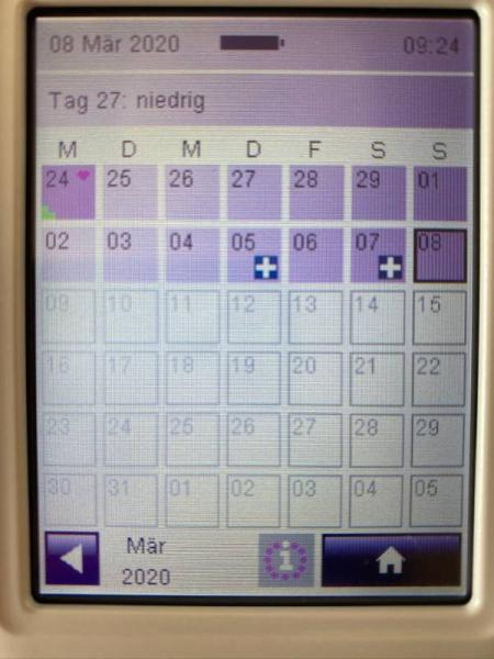 Bild zu