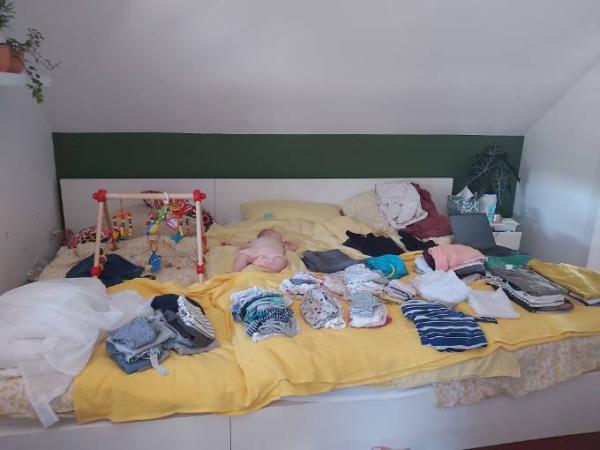 Bild zu