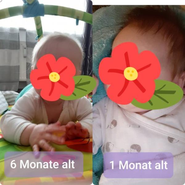 Bild zu