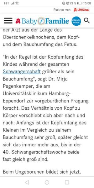 Bild zu 
