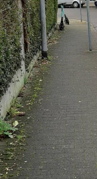Bild zu Eroller auf Kinderwagen gekippt - Forum für Januar - Mamis