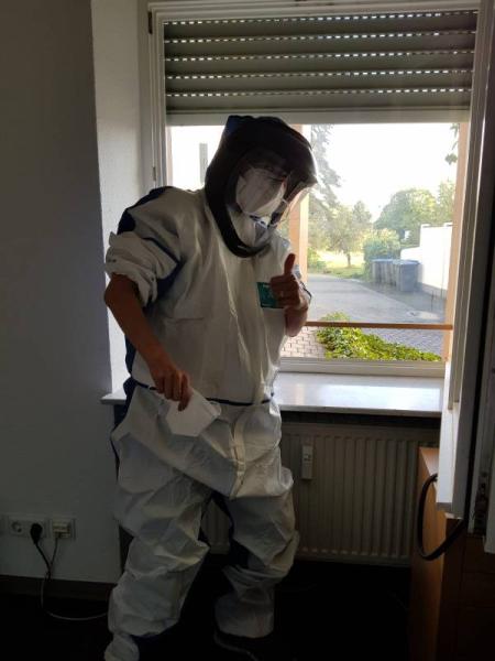 Bild zu 