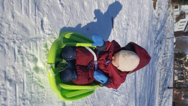 Bild zu Babyschlitten - Forum für Januar - Mamis