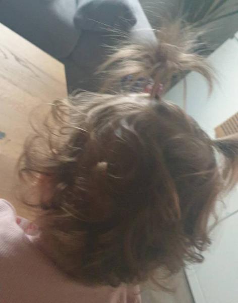 Bild zu 