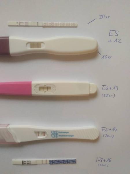 Bild zu Meine Testreihe ES+12 - ES +17 - Forum für Januar - Mamis