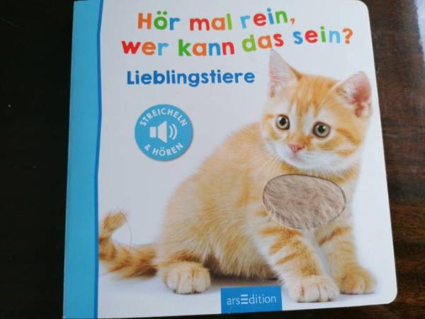 Bild zu
