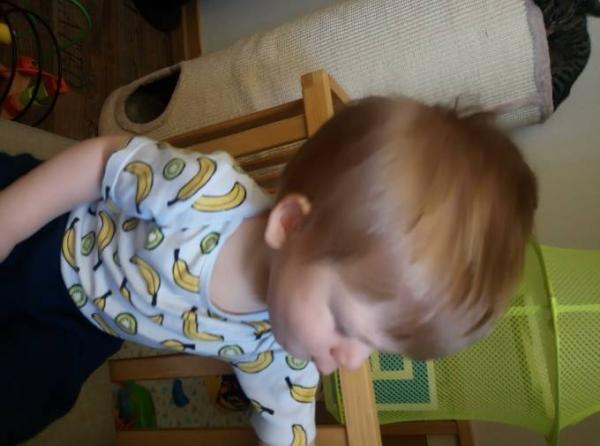 Bild zu