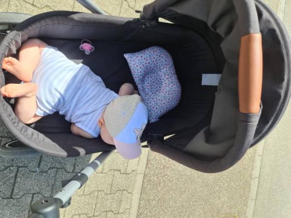 Bild zu