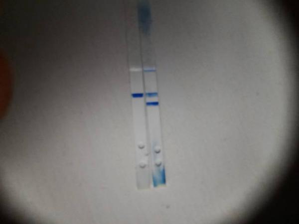 Bild zu Clearblue ES+20 Wochenbestimmung 2-3 - Forum für Januar - Mamis