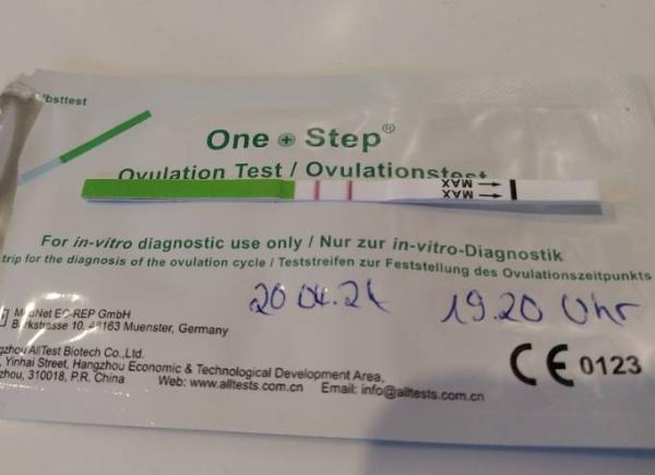 Bild zu Ovulationstest positiv? - Forum für Januar - Mamis