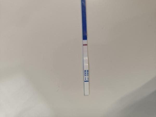 Bild zu Ich bin wohl auch wieder mit dabei - Forum für Januar - Mamis