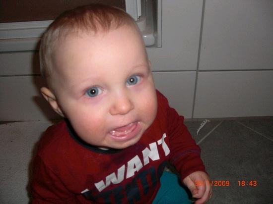Bild zu 