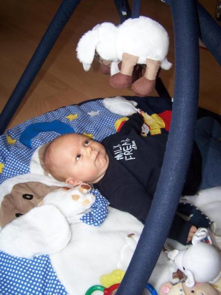 Bild zu