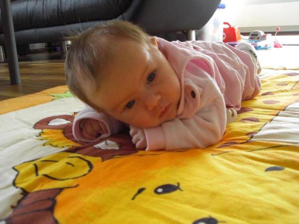 Bild zu 