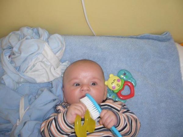Bild zu