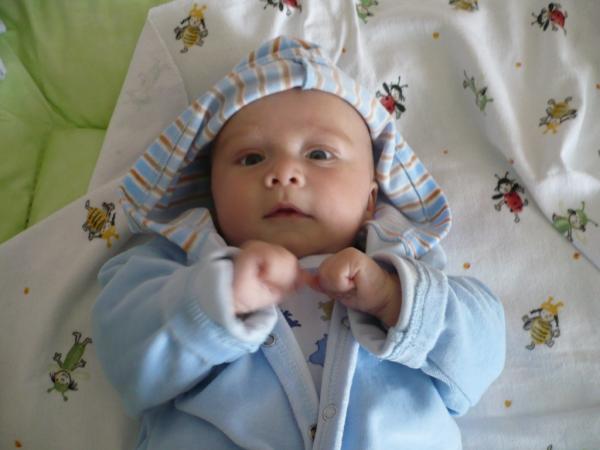 Bild zu