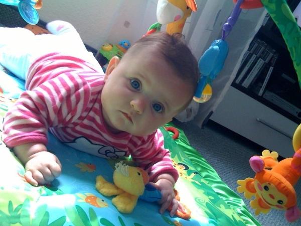 Bild zu
