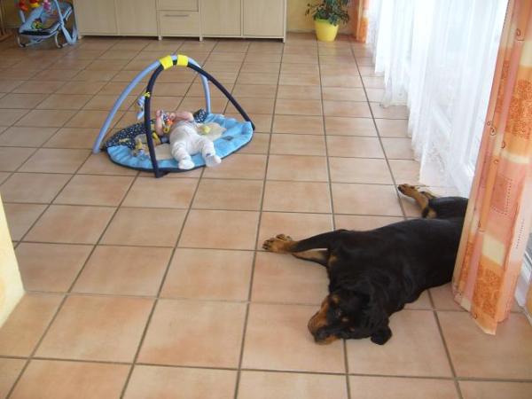 Bild zu 