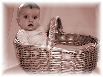 Bild zu Mein Baby... - Forum für Februar - Mamis