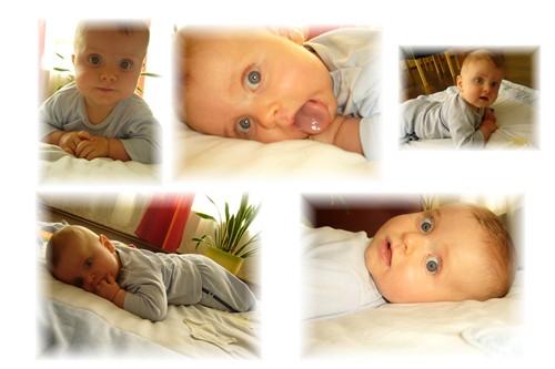 Bild zu
