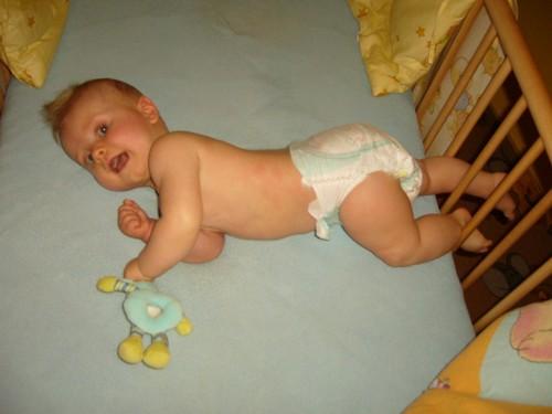 Bild zu Aktuelles Bild von meinem Räuber! - Forum für Februar - Mamis