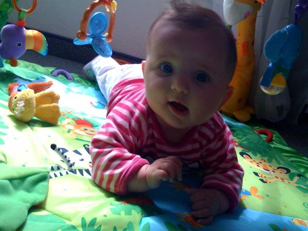 Bild zu 