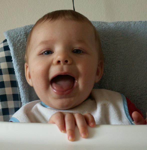 Bild zu Bin gerade mächtig sauer über babydream-Glasfutter... - Forum für Februar - Mamis