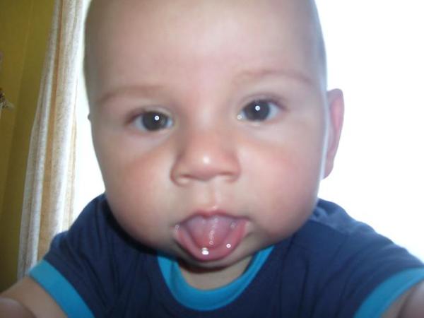 Bild zu