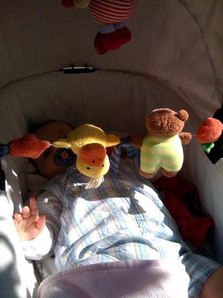 Bild zu 