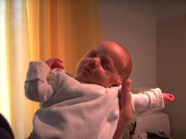 Bild zu 