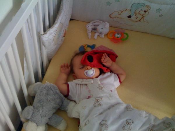 Bild zu 