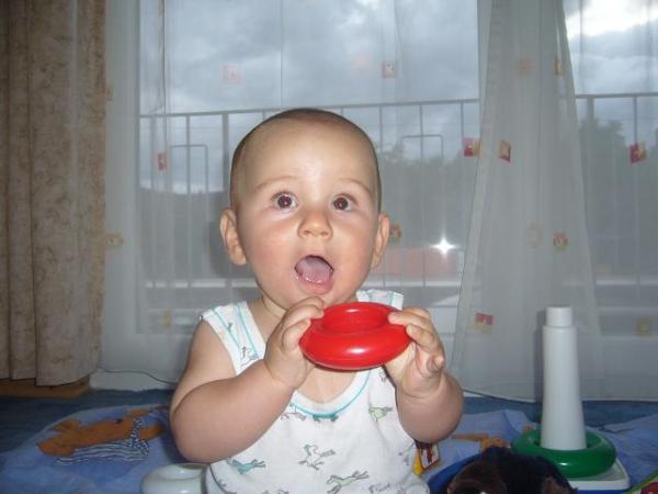 Bild zu 