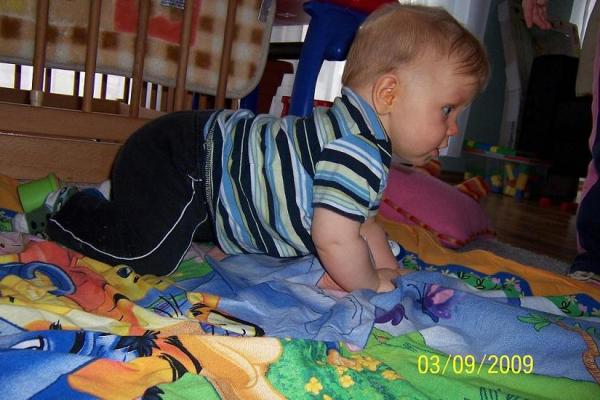 Bild zu