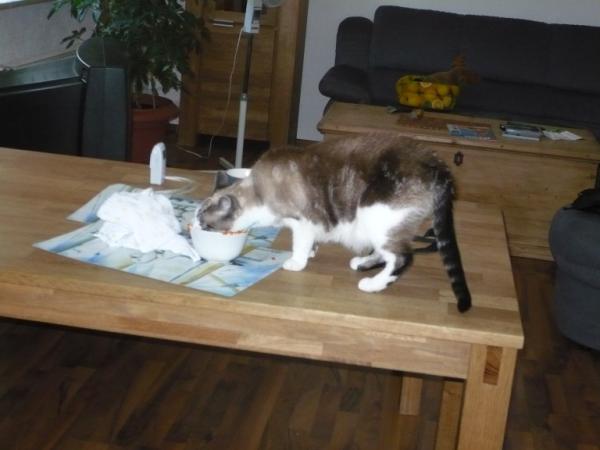 Bild zu 