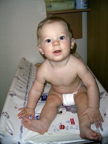 Bild zu