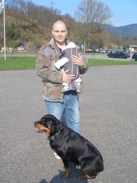 Bild zu 