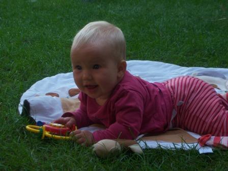 Bild zu