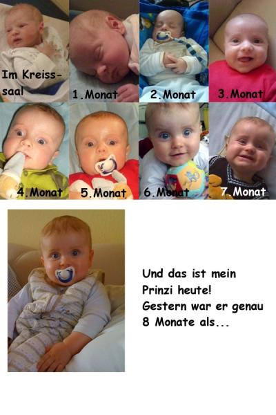 Bild zu 