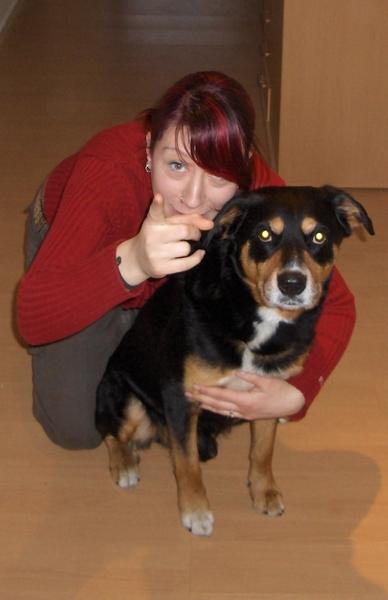 Bild zu 