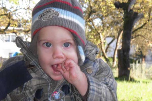 Bild zu 