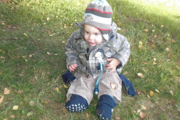 Bild zu 