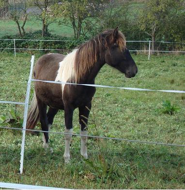Bild zu 